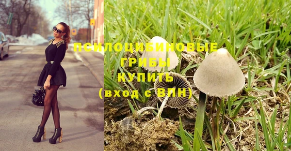 соль ск Верея