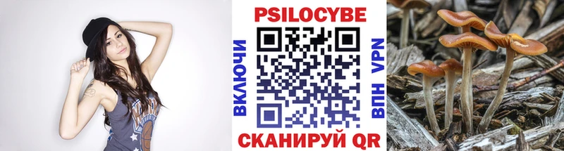 Псилоцибиновые грибы MAGIC MUSHROOMS  Купить  Тында 