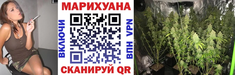Купить  Тында  Шишки марихуана AK-47 